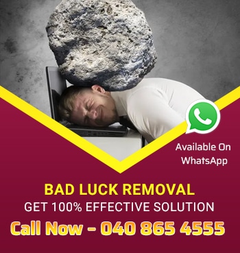 Bed Luck Removal in Melbourne Australia.